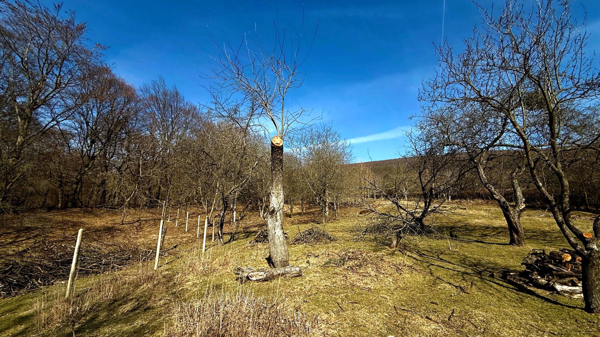 Na predaj pozemok, 624m2, Borinka