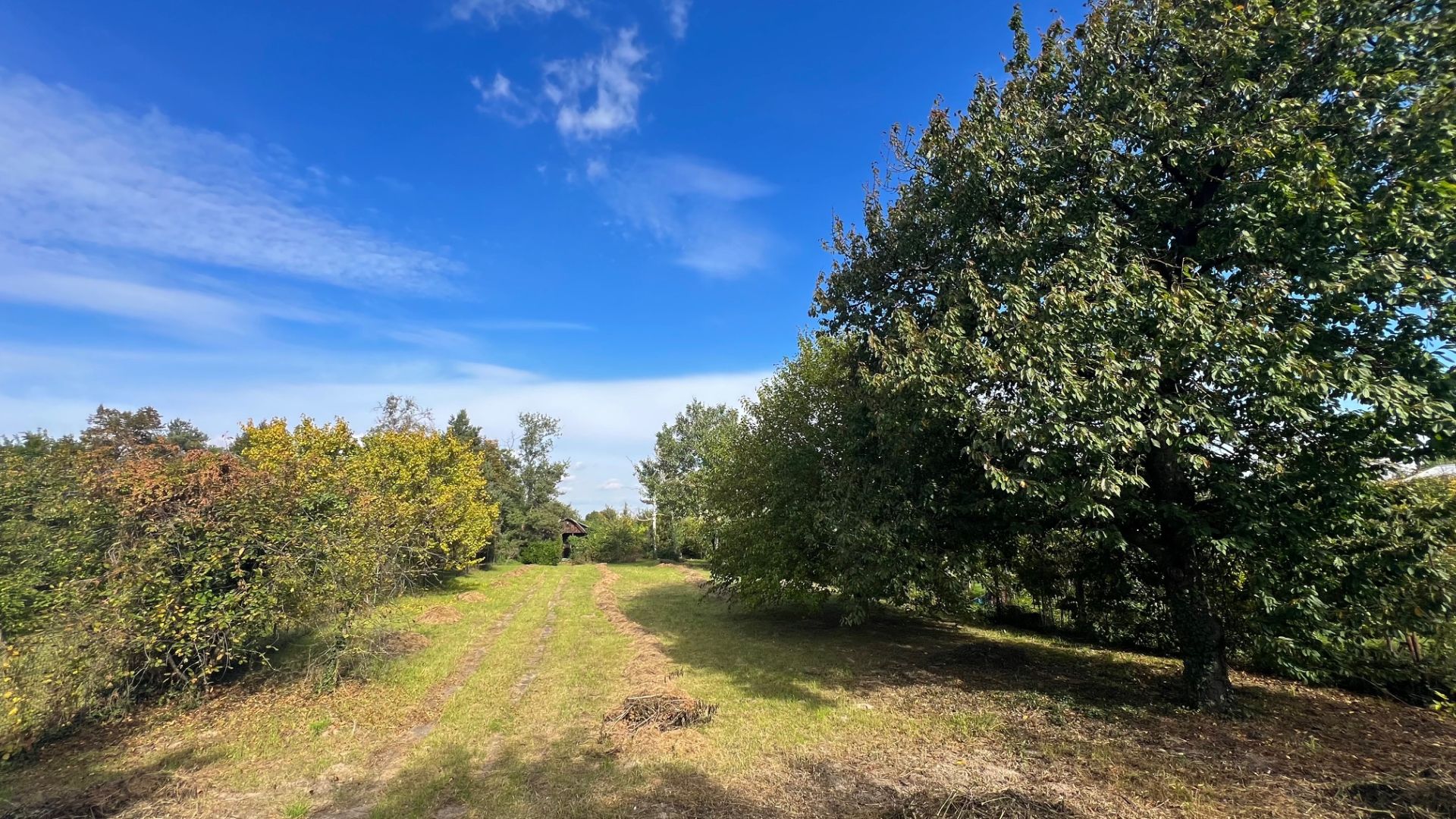 Na predaj stavebný pozemok, 800m2, Kvetoslavov